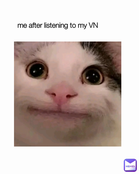 me after listening to my VN