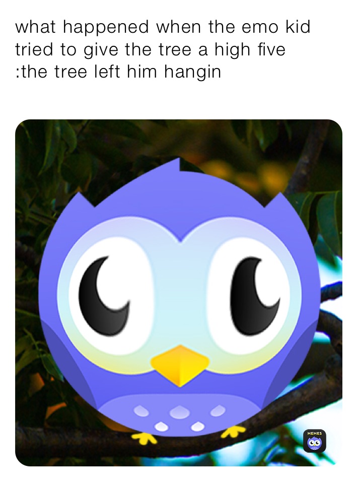 what happened when the emo kid tried to give the tree a high five
:the tree left him hangin 
