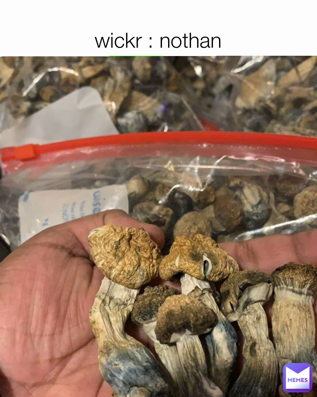 wickr : nothan