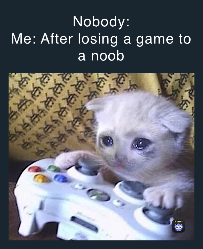 Nobody:
Me: After losing a game to a noob