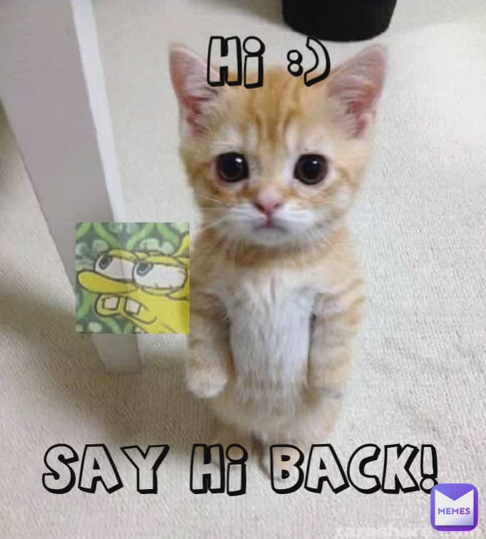 Hi :) SAY Hi BACK!