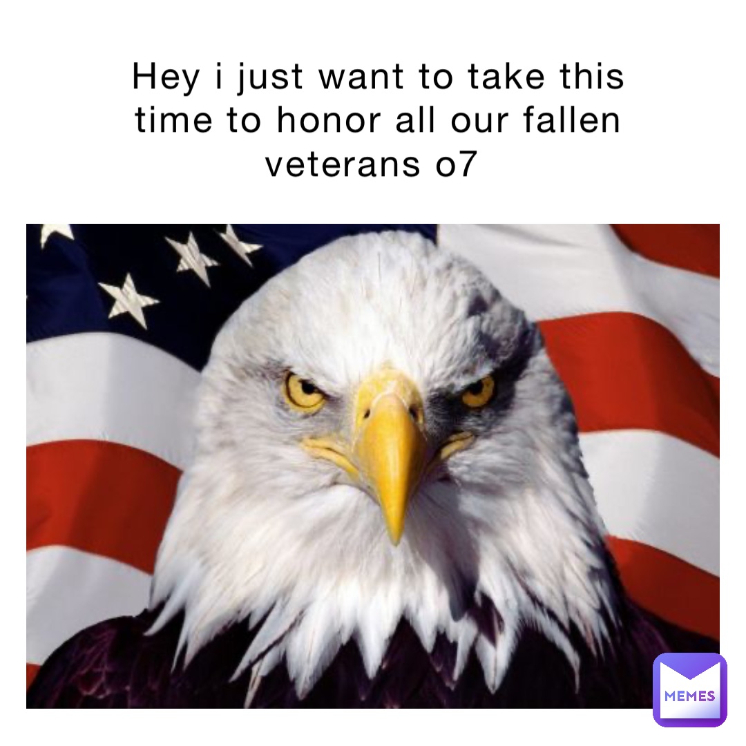 Hey i just want to take this time to honor all our fallen veterans o7