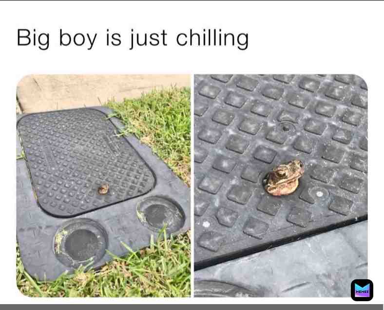 #frog  #memes  #wwe  #pewdiepie  #covid19  #haha  #hahahaha