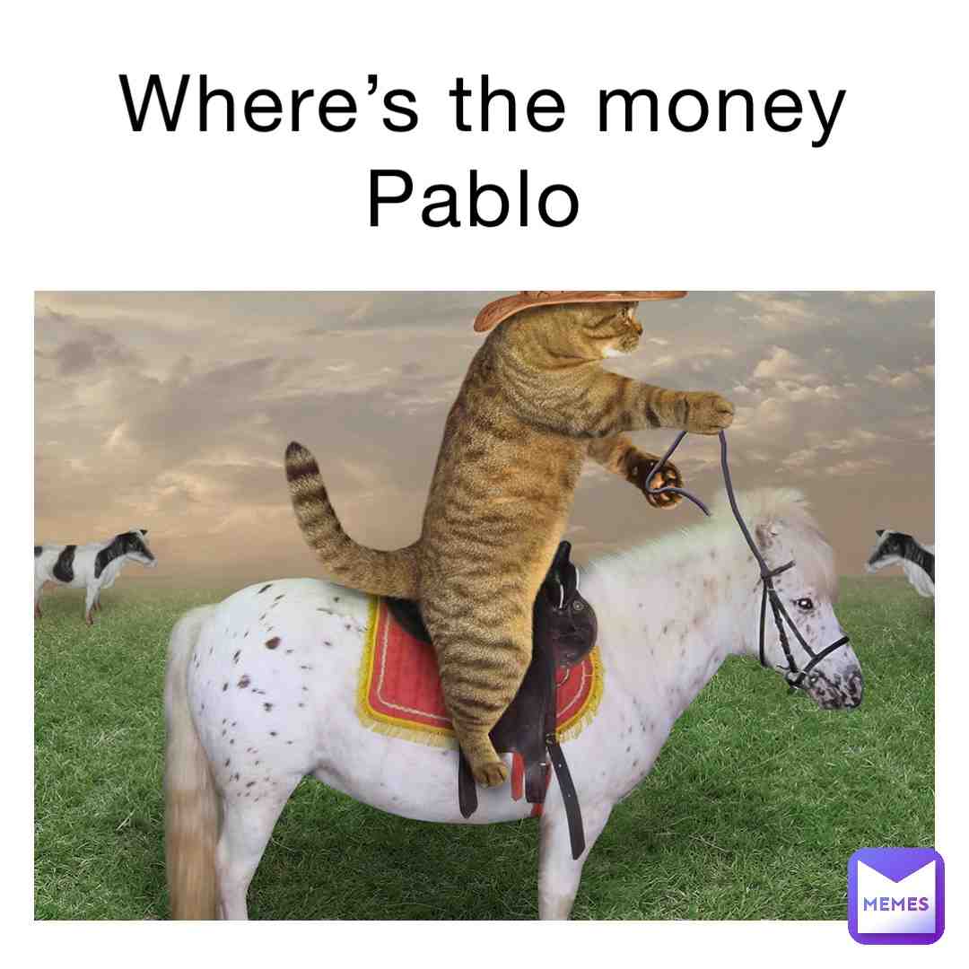 #memes  #memes  #hahahaha  #haha  #cat