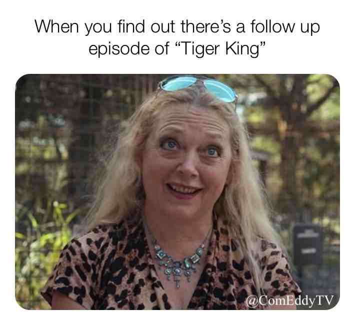 #comedy #memes #2020 #tigerking #carolebaskin