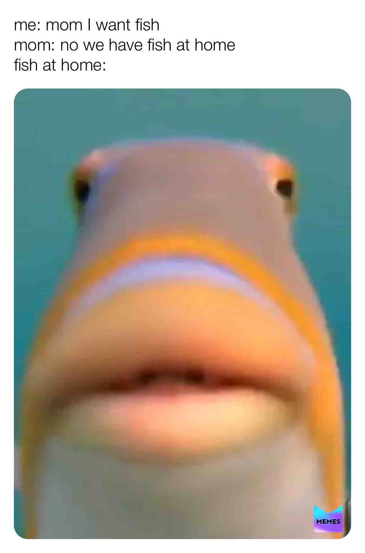 #true #meme #Yeet