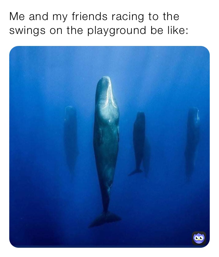 Me and my friends racing to the swings on the playground be like: