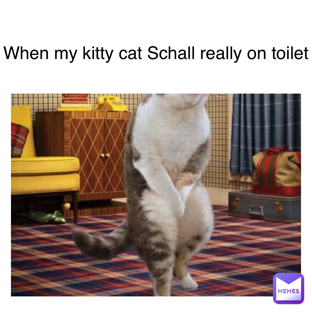 Text Here When my cat really on toilet | @daniel-haugaard-waerness | Memes