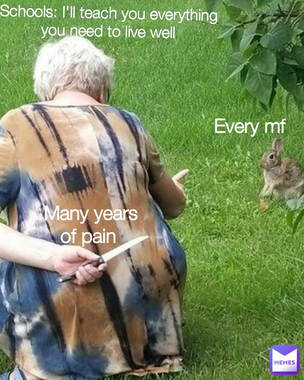 Every mf Schools: I'll teach you everything you need to live well Many years of pain 