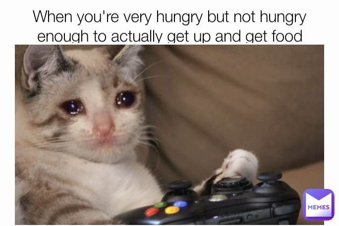 When you're very hungry but not hungry enough to actually get up and get  food | @Ja_nonymous | Memes