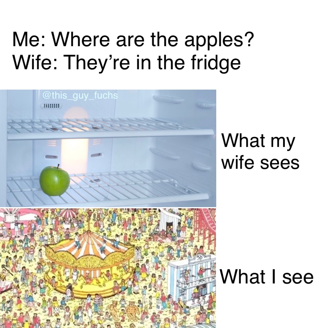 What my wife sees What I see Me: Where are the apples?
Wife: They’re in the fridge