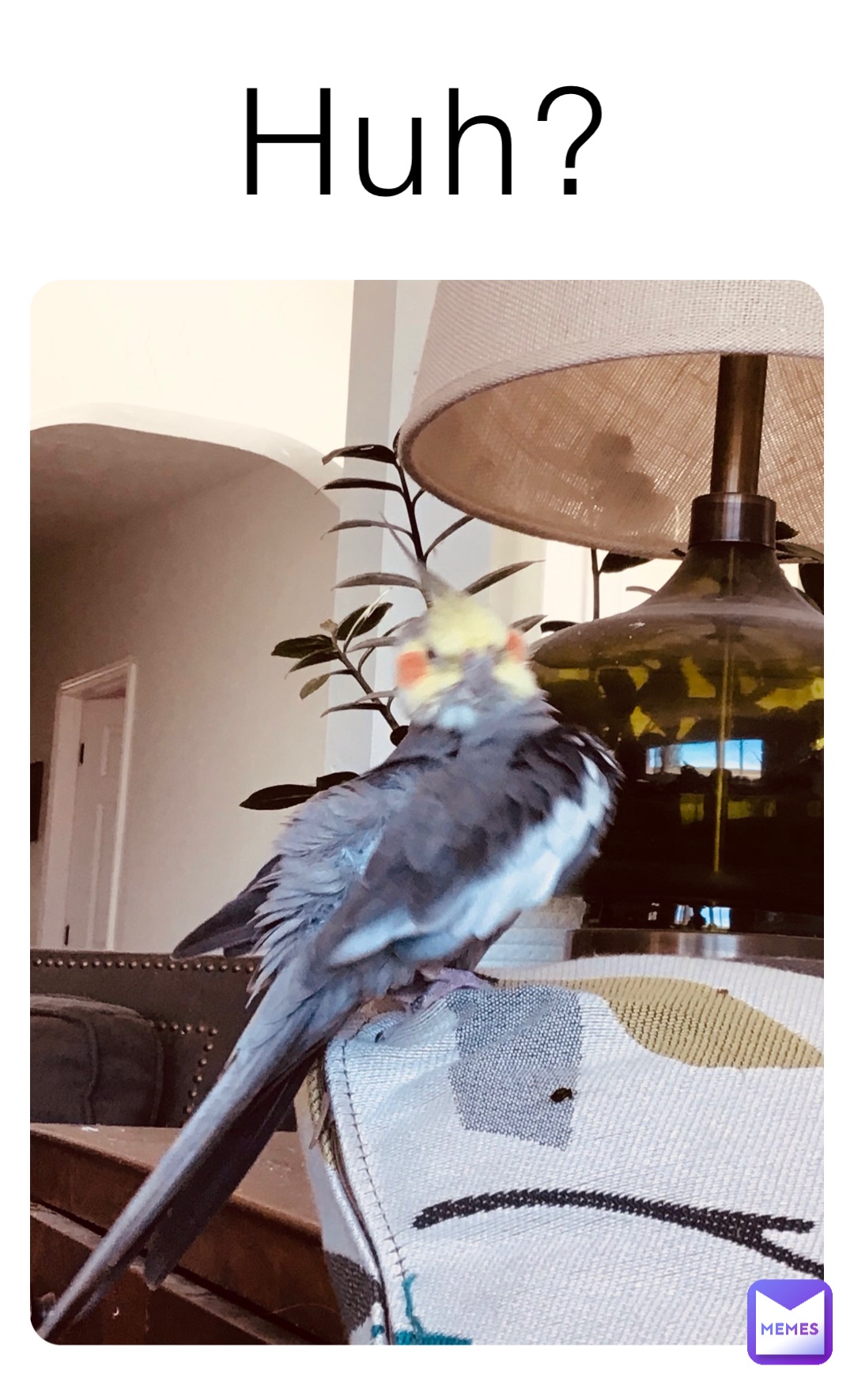 Meme by dillpickle204