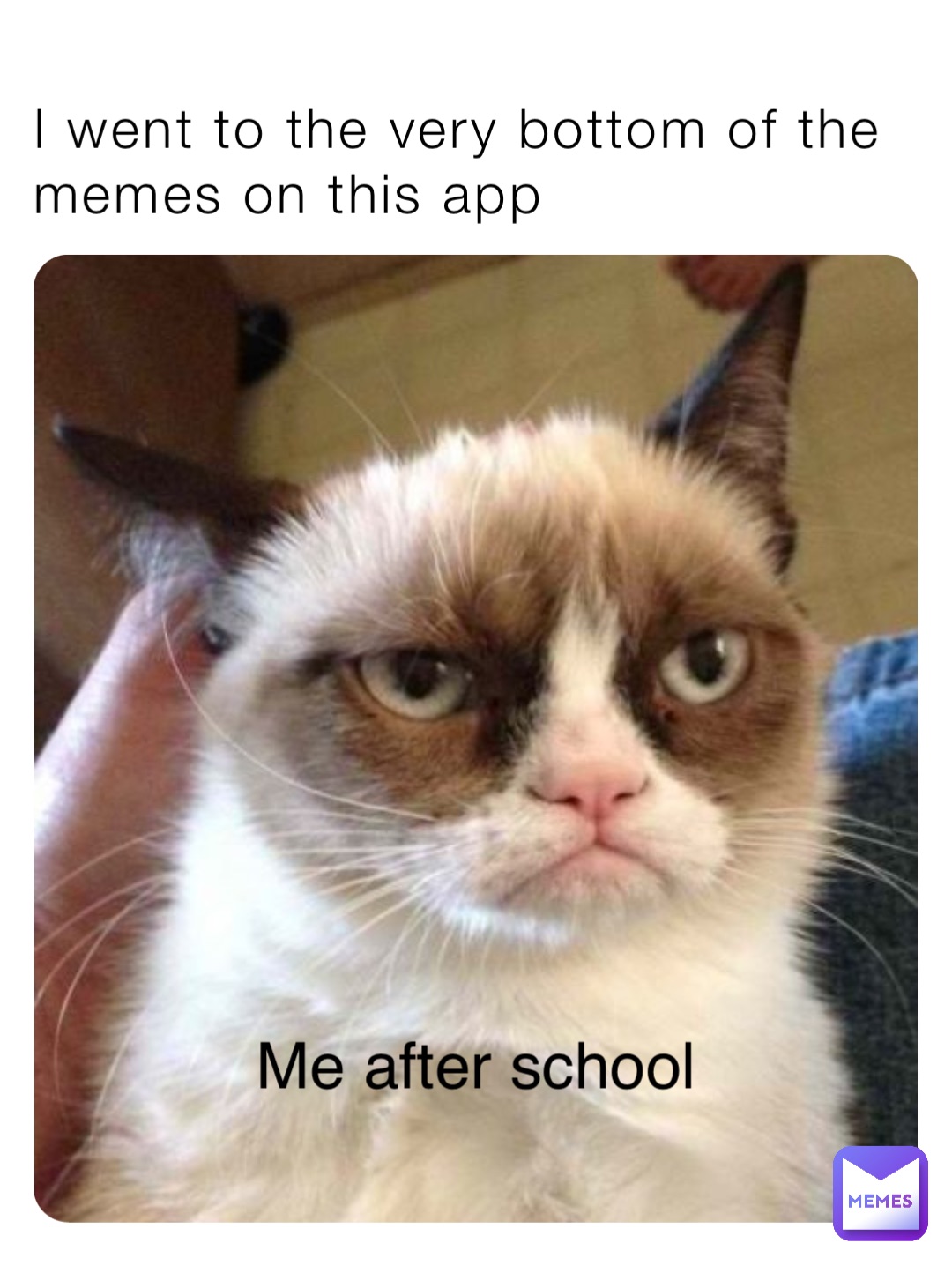 I went to the very bottom of the memes on this app Me after school