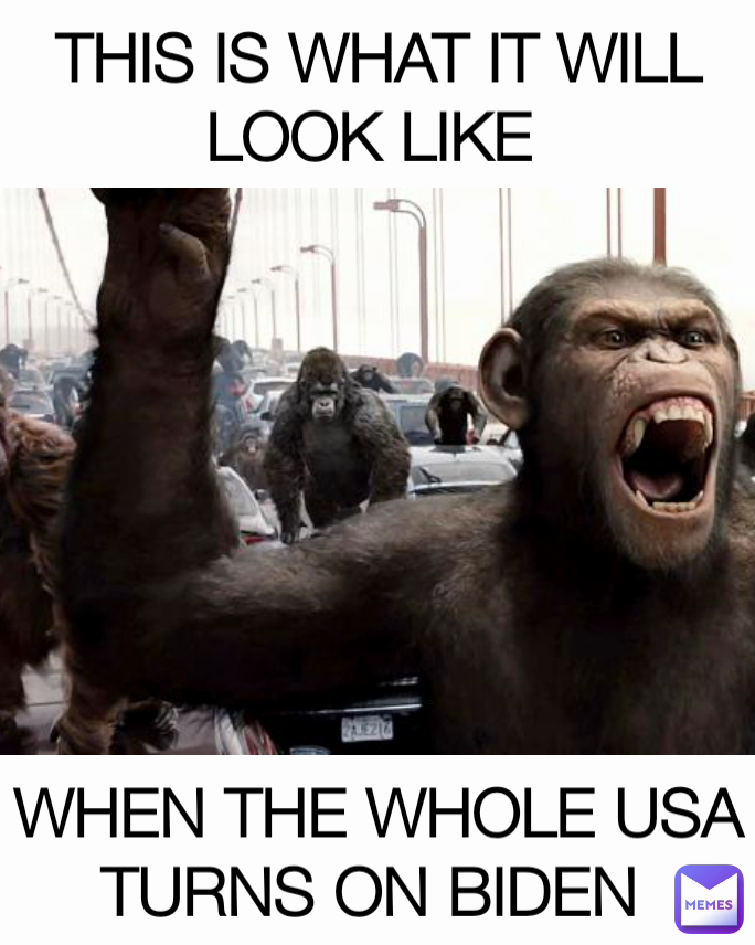 THIS IS WHAT IT WILL LOOK LIKE  WHEN THE WHOLE USA TURNS ON BIDEN 