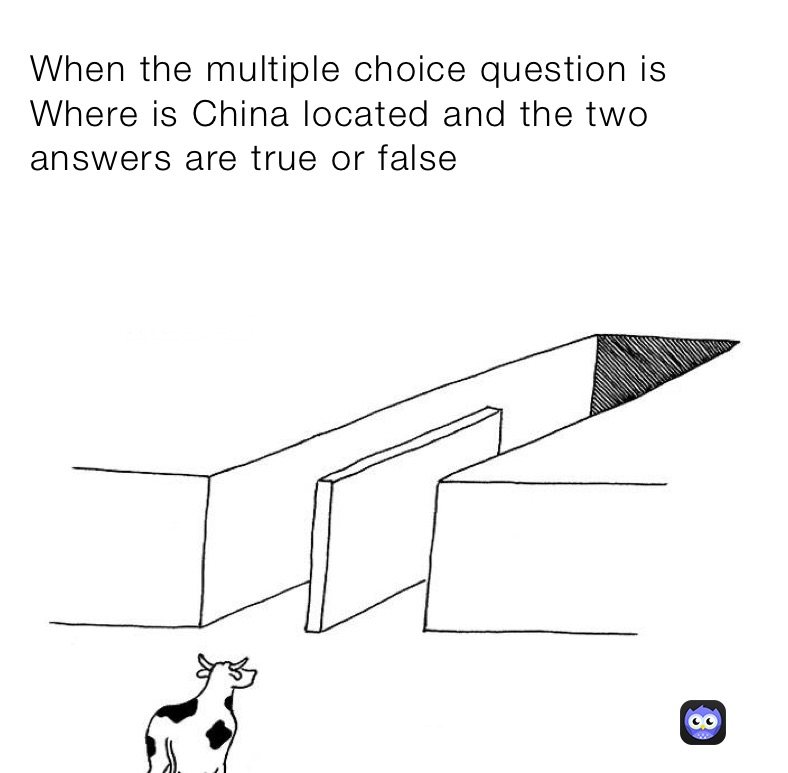 When the multiple choice question is Where is China located and the two answers are true or false
