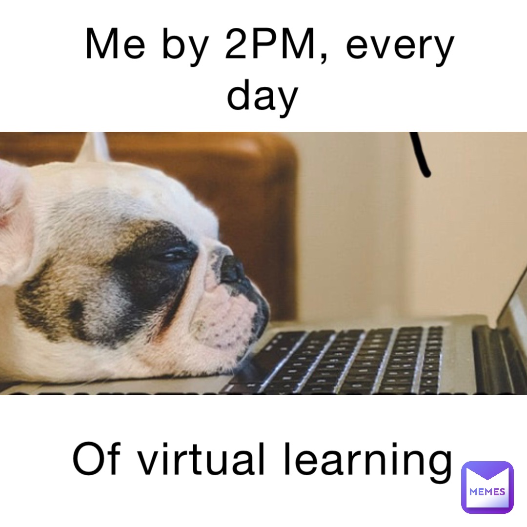 Me by 2PM, every day Of virtual learning