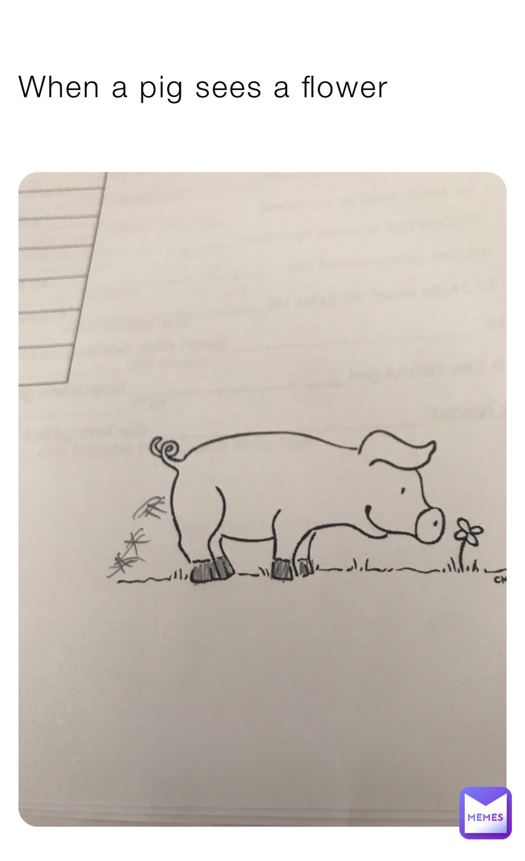 When a pig sees a flower