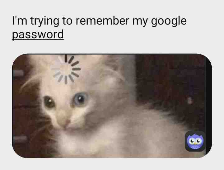 😂😂