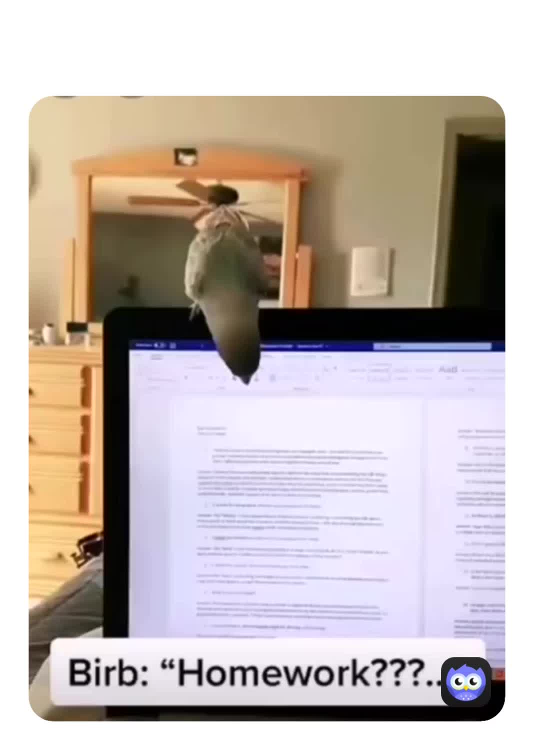 lol