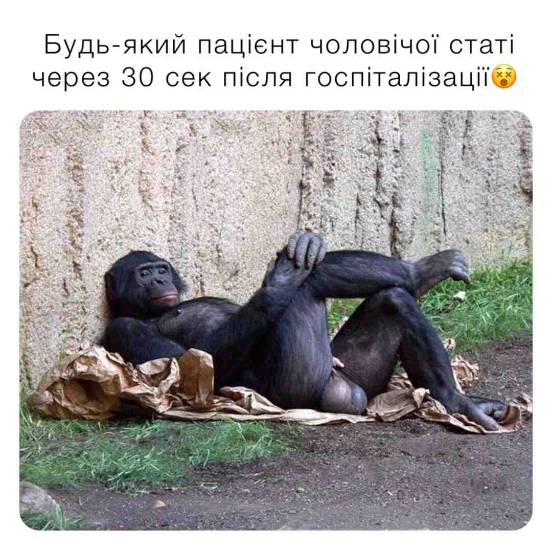 Meme shared by @Alexperederiy