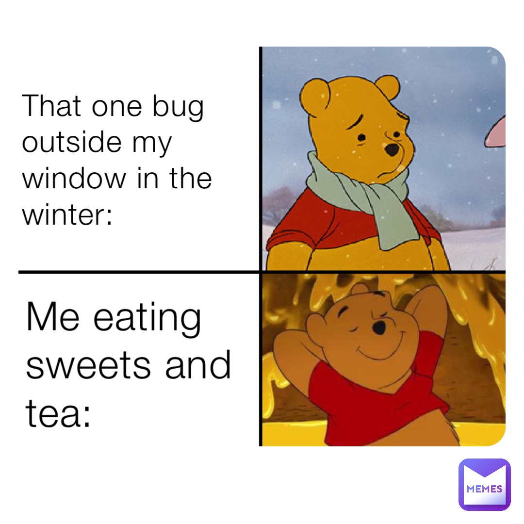 That one bug outside my window in the winter: Me eating sweets and tea: