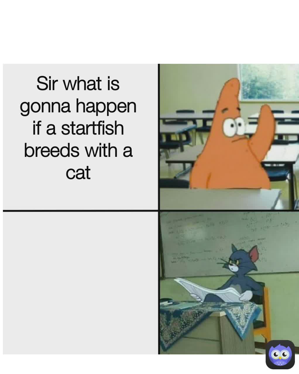 Sir what is gonna happen if a startfish breeds with a cat