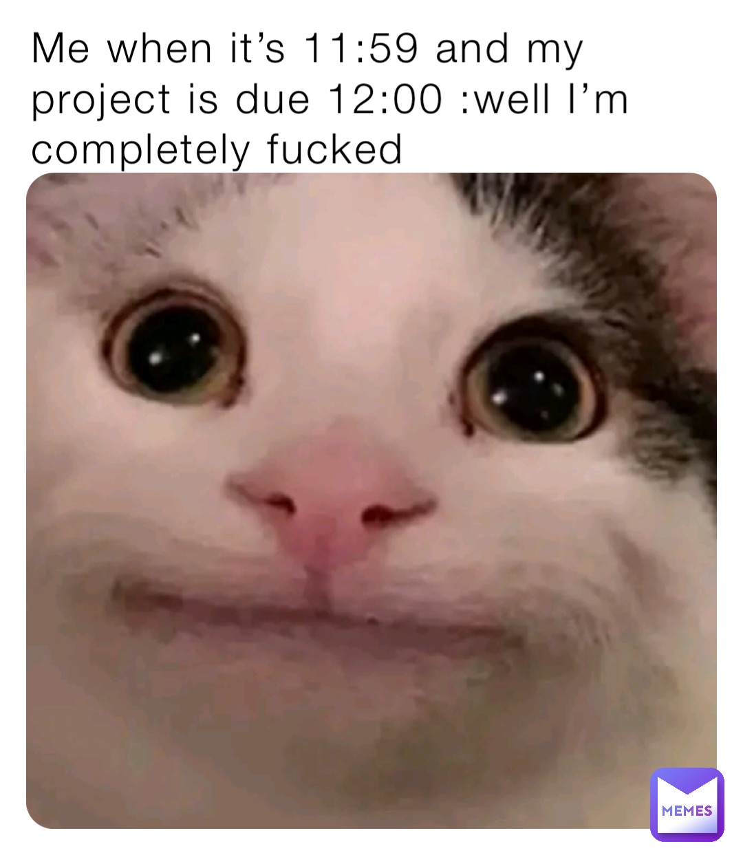 Me when it’s 11:59 and my project is due 12:00 :well I’m completely fucked