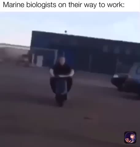 Meme shared by @SawMan