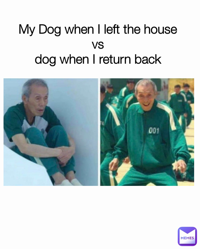 My Dog when I left the house
 vs 
dog when I return back