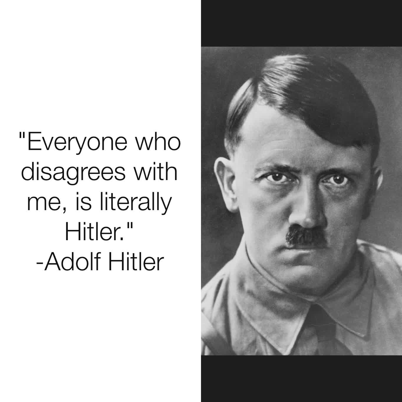 "Everyone who disagrees with me, is literally Hitler."
-Adolf Hitler