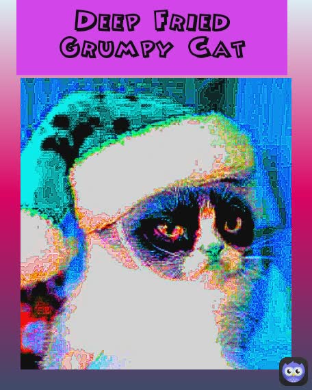Deep Fried Grumpy Cat