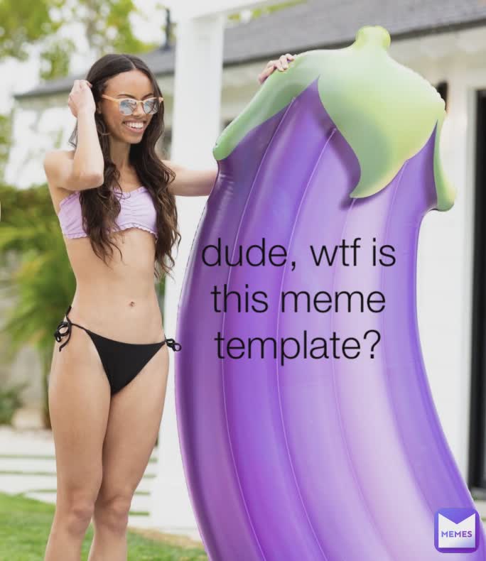 dude, wtf is this meme template?
