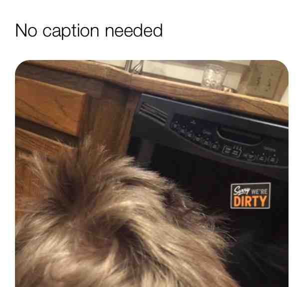 Meme shared by @dizzymemes
