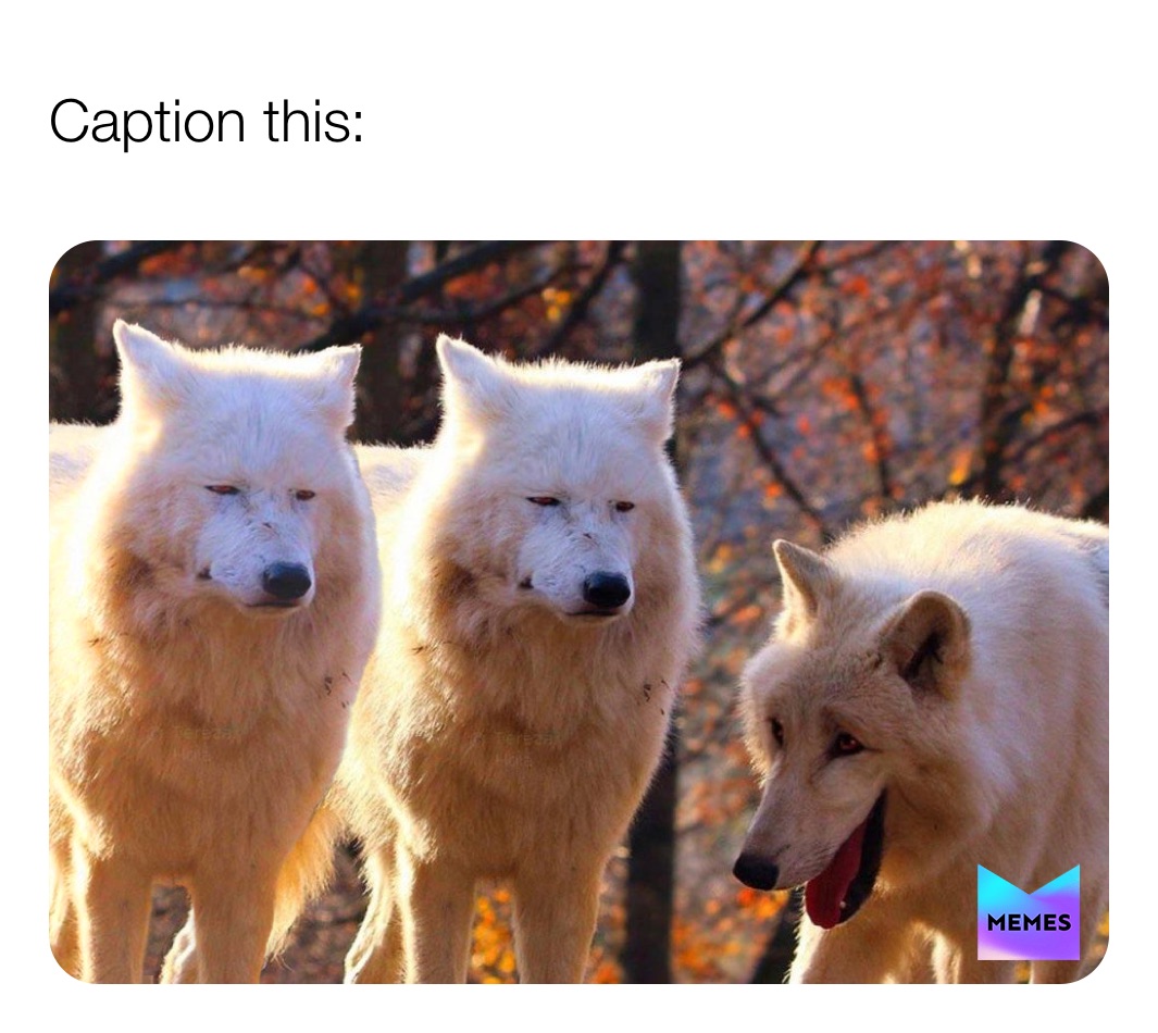 Meme by TheFunnyDude