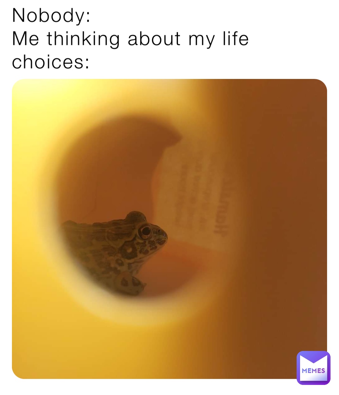 Nobody:
Me thinking about my life choices:
