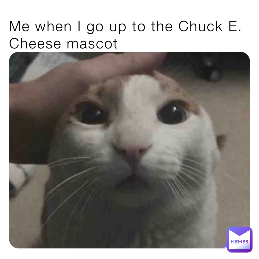 Me when I go up to the Chuck E. Cheese mascot