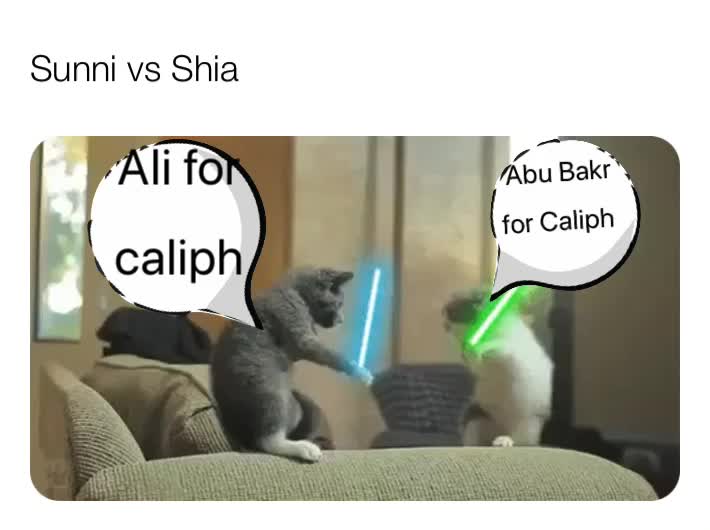#Sunni  ​ #Arab  #muslimmemes ​ #Muslim  #arabmemes
