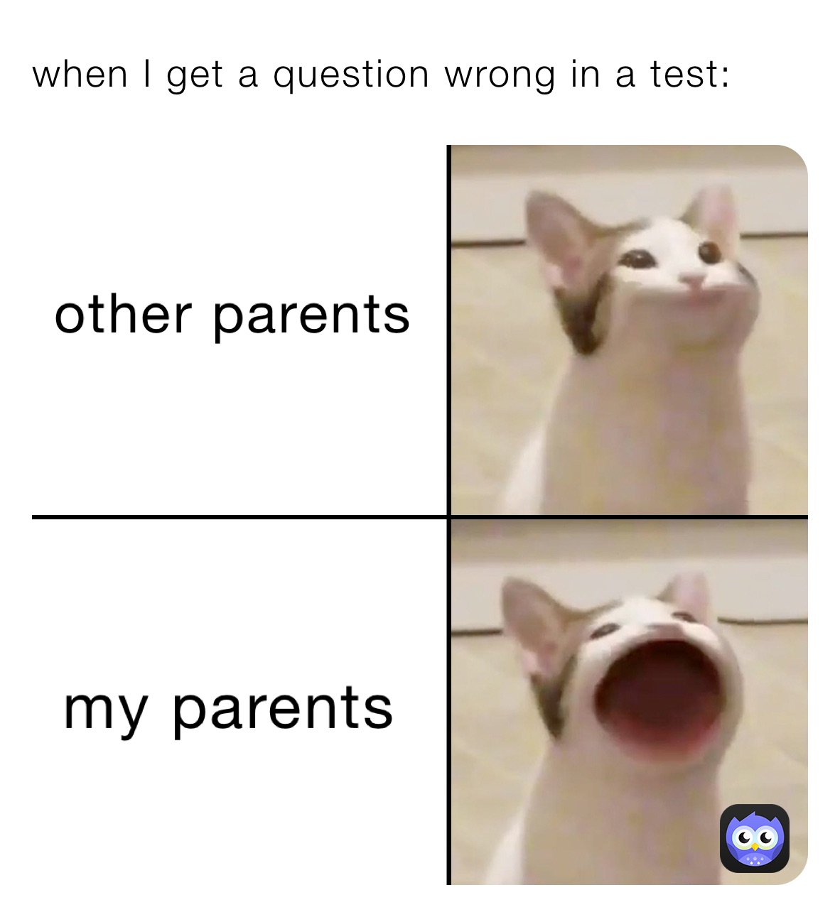 when I get a question wrong in a test: