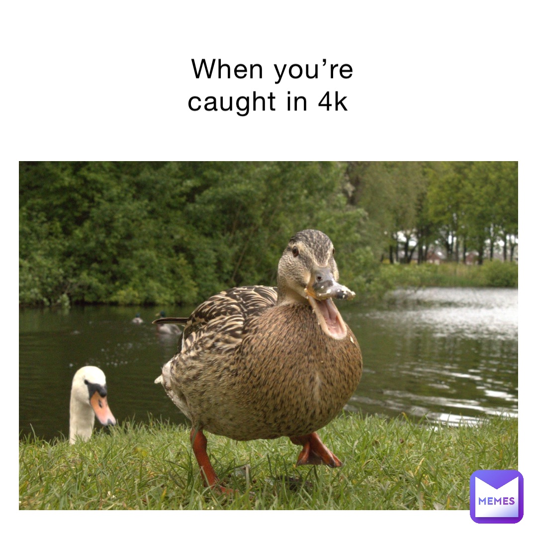 When you’re caught in 4K