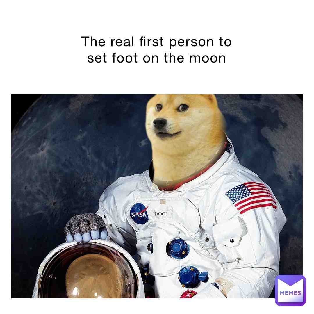 #dogememegod