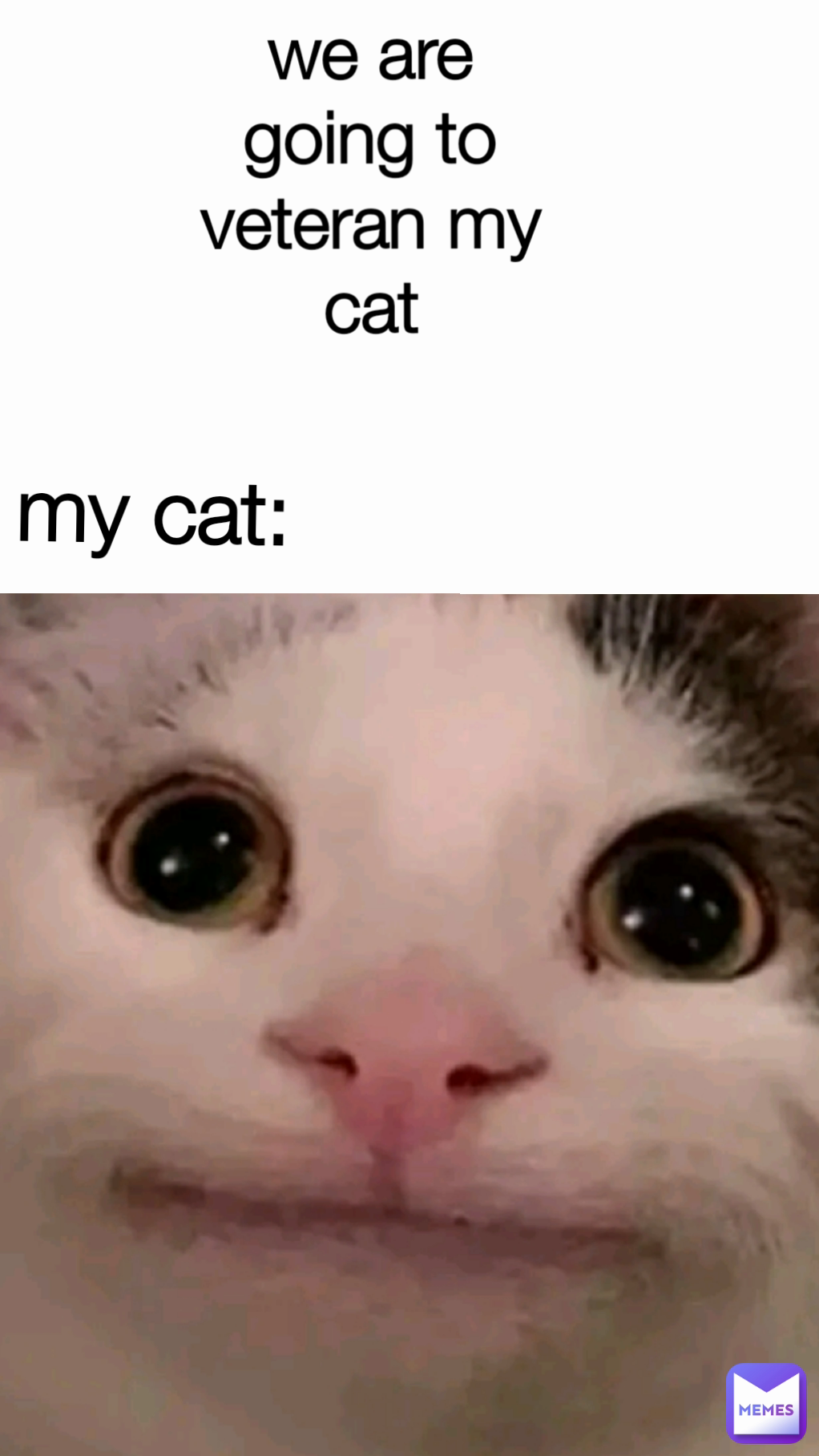 Meme by pervanoglunilgun