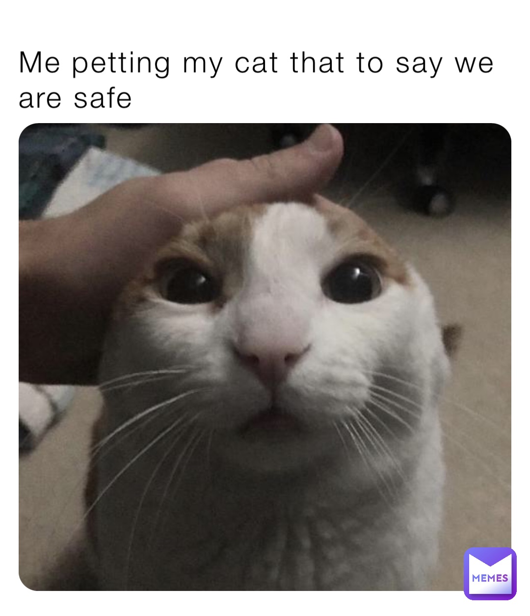 MePettingMyCat