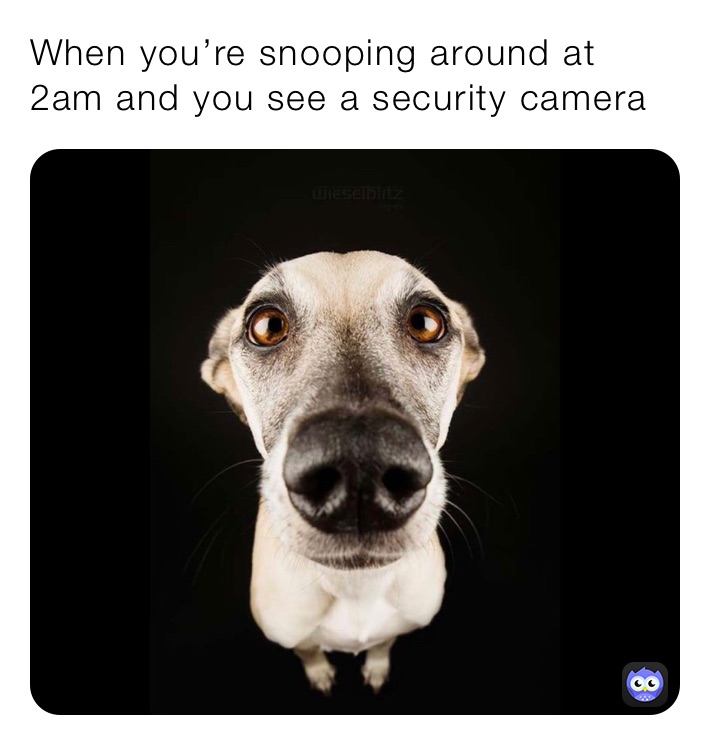 When you’re snooping around at 2am and you see a security camera