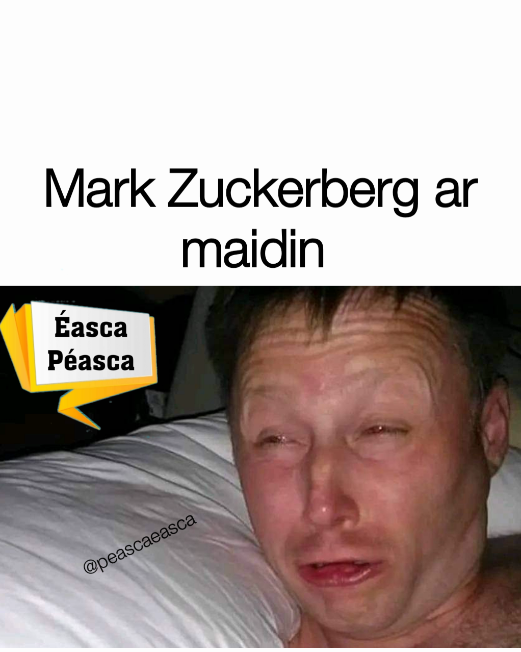 @peascaeasca  Mark Zuckerberg ar maidin 