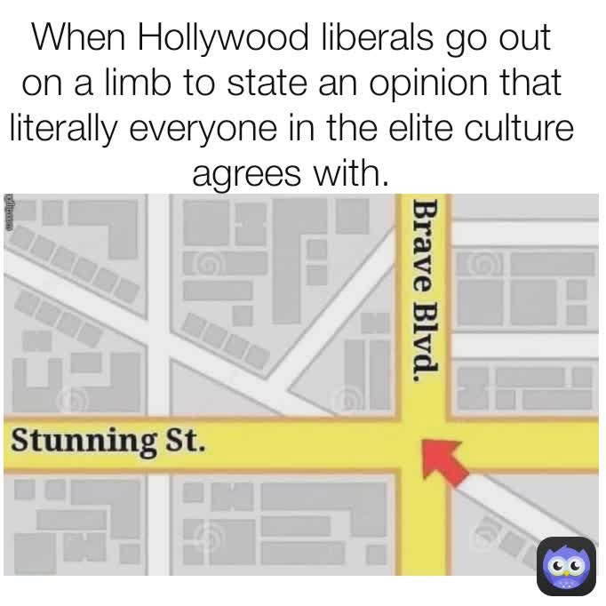When Hollywood liberals go out on a limb to state an opinion that literally everyone in the elite culture agrees with.