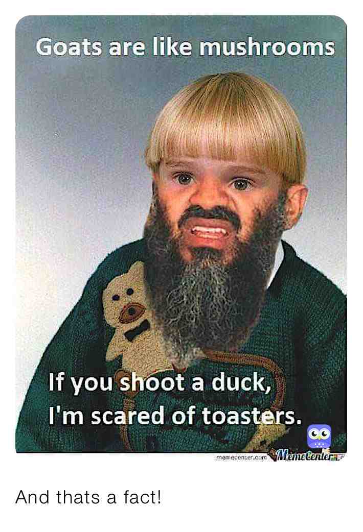 Meme shared by @stufff