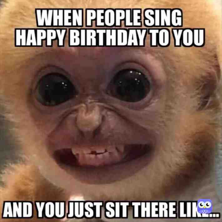Meme shared by @stufff