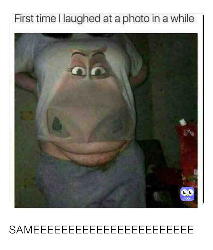 Meme shared by @stufff