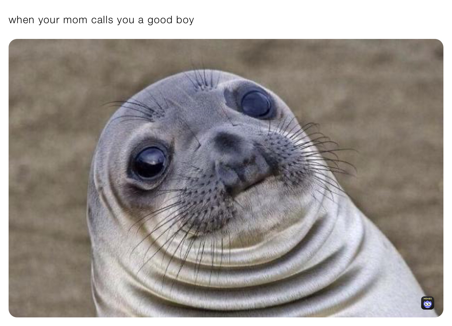 when your mom calls you a good boy