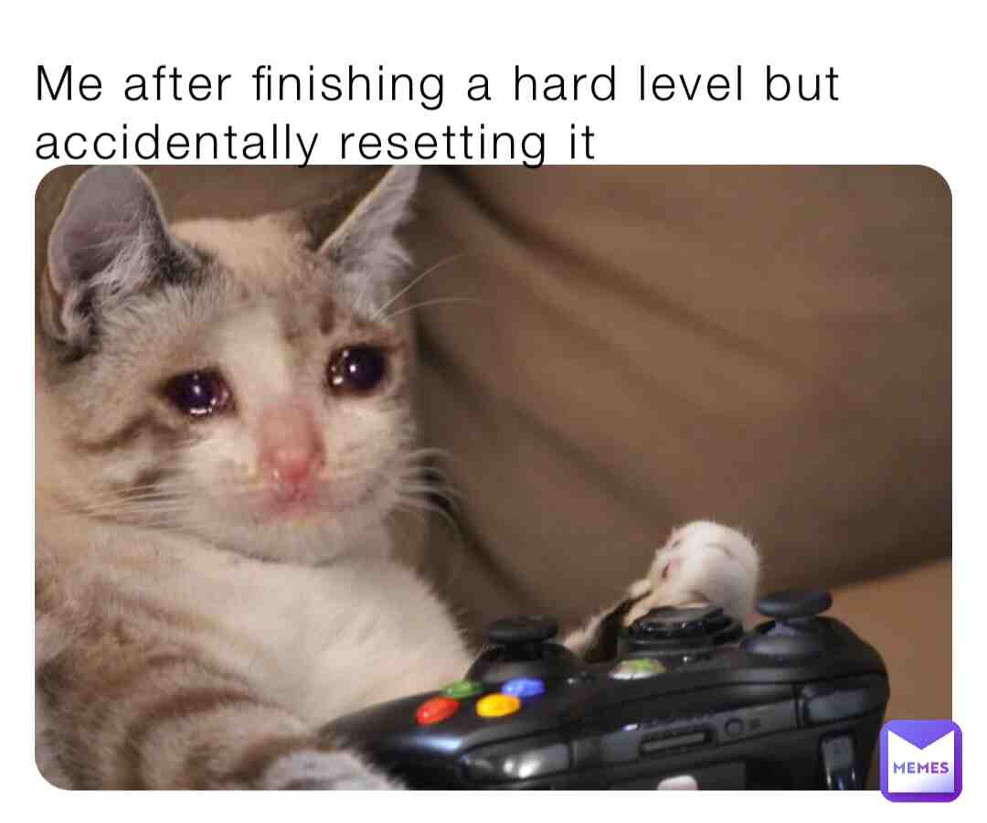 Meme shared by @flomato